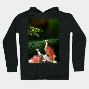 The power animal - white stork Hoodie